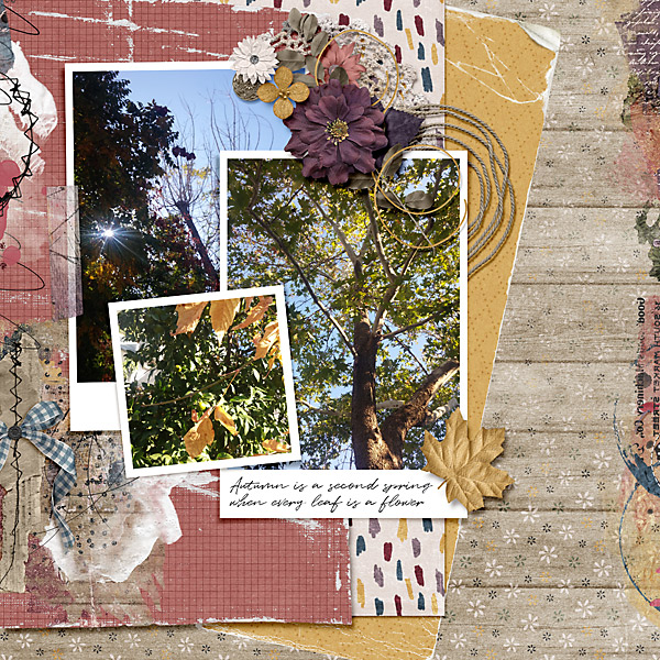 Autumn is a second spring
