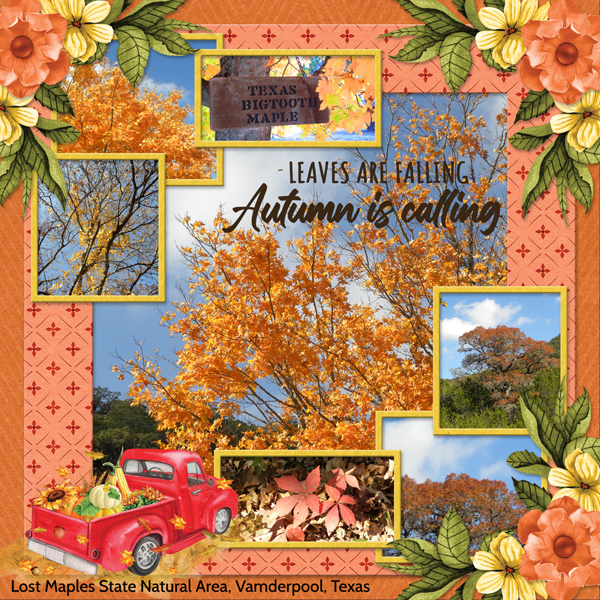 Autumn is calling!