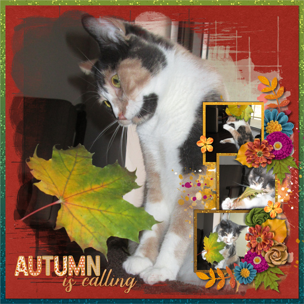Autumn is Calling