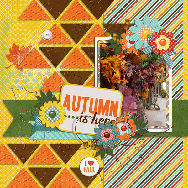 autumn is here