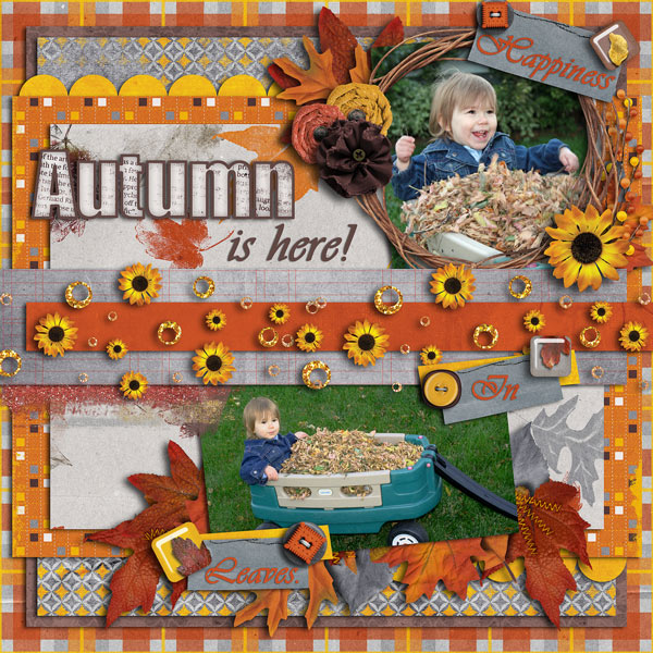 Autumn is here