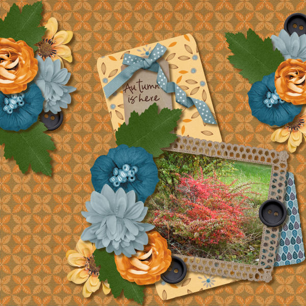 Autumn is here