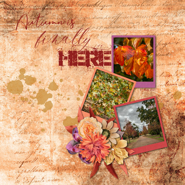 Autumn is here