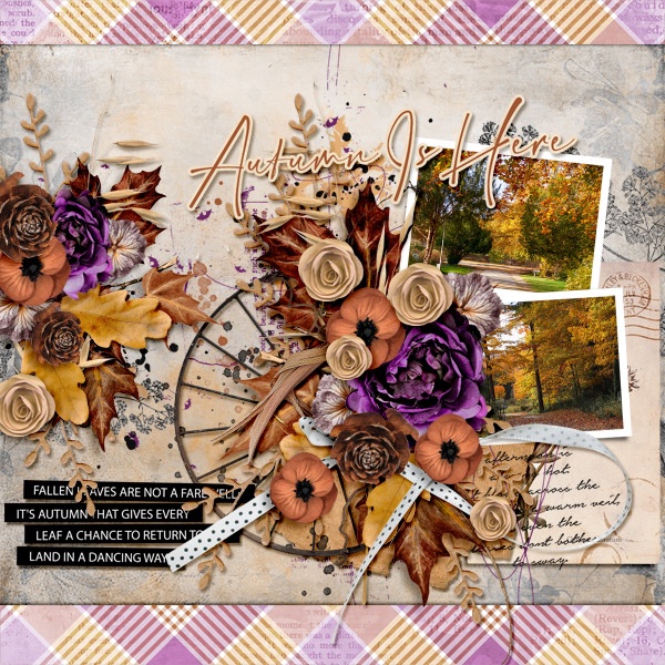Autumn is Here!