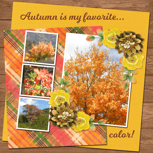 Autumn is my favorite color!