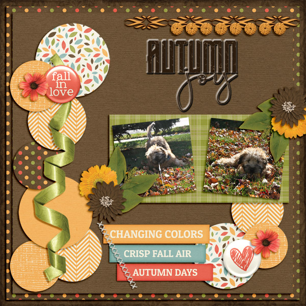 Autumn Joy