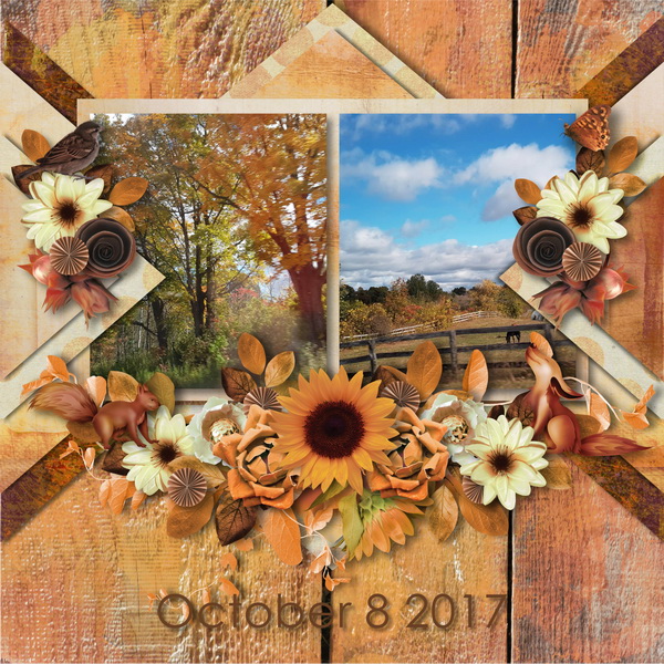 Autumn Joy