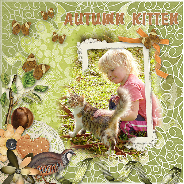 Autumn Kitten