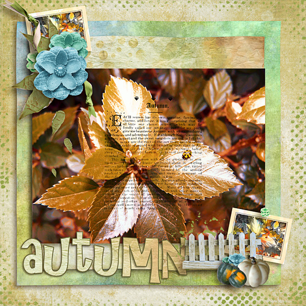 Autumn - Ladybug