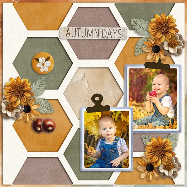 Autumn Leaves.jpg