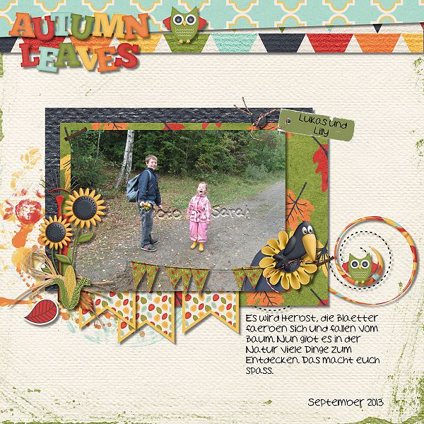 Autumn leaves