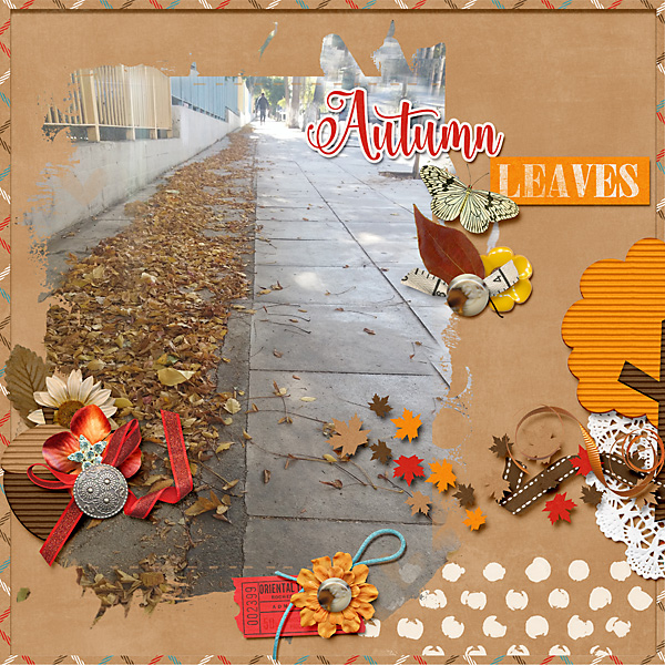 Autumn leaves