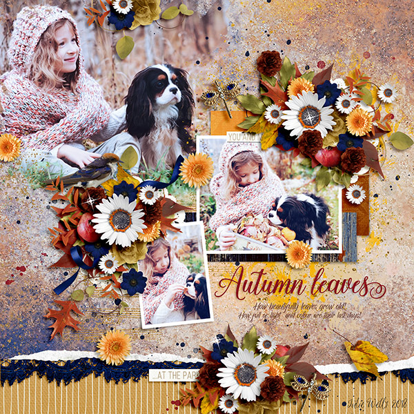Autumn leaves