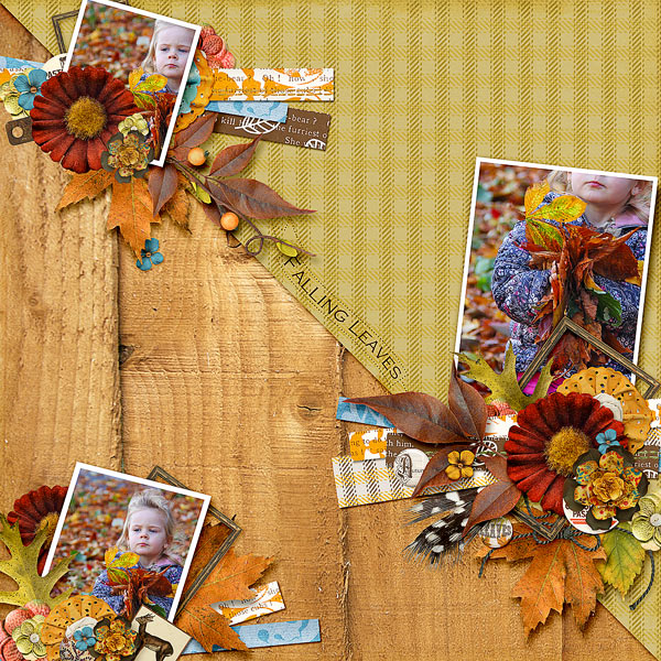 AUTUMN LEAVES