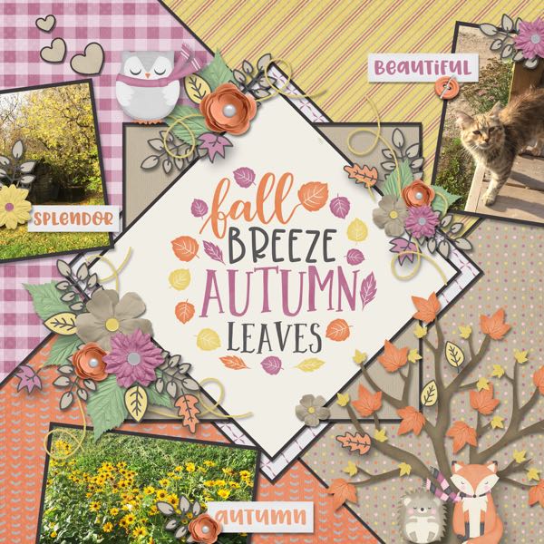 Autumn Leaves