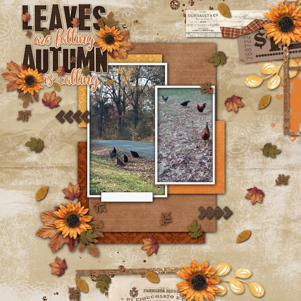 Autumn Leaves