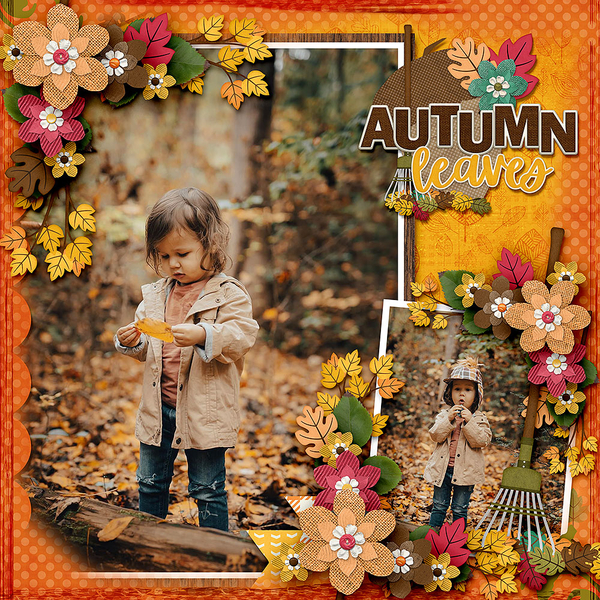 Autumn Leaves