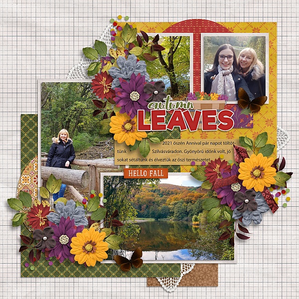 Autumn leaves