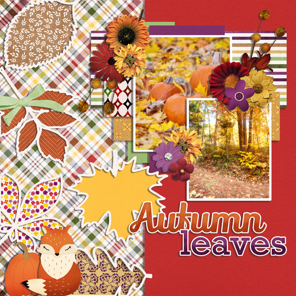 autumn leaves