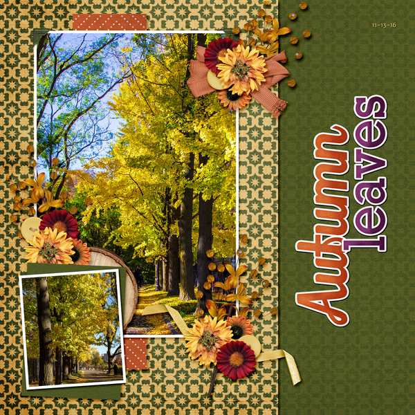 Autumn Leaves