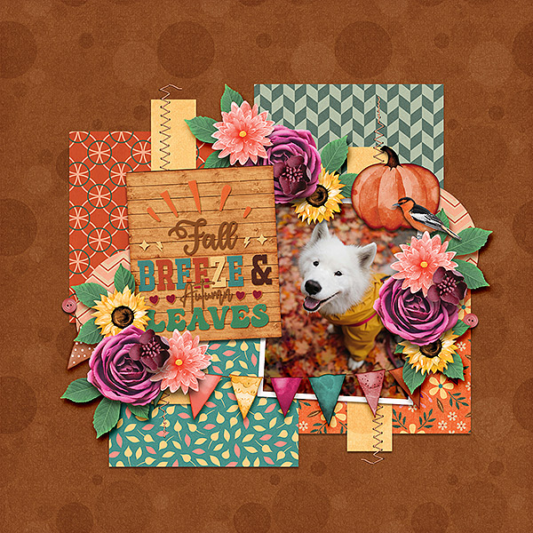 autumn leaves