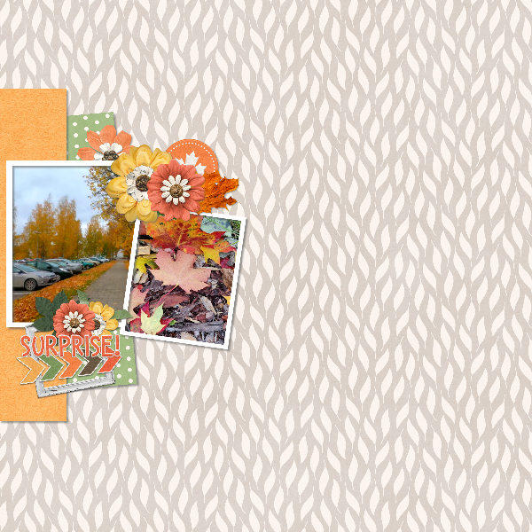 Autumn leaves