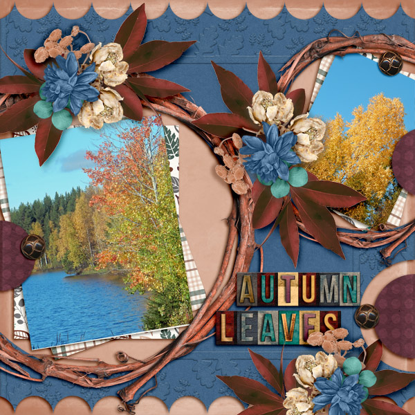 Autumn-leaves2