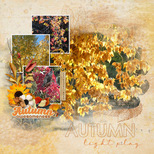 Autumn Light Play