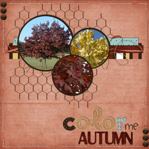 Autumn Love