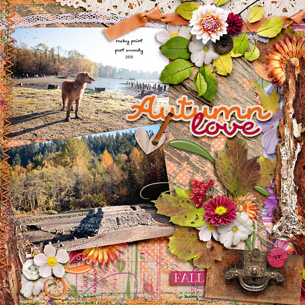 Autumn Love