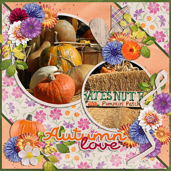autumn love