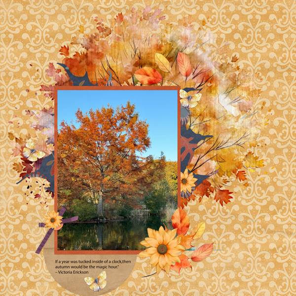 Autumn Magic Hour