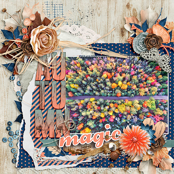 Autumn magic