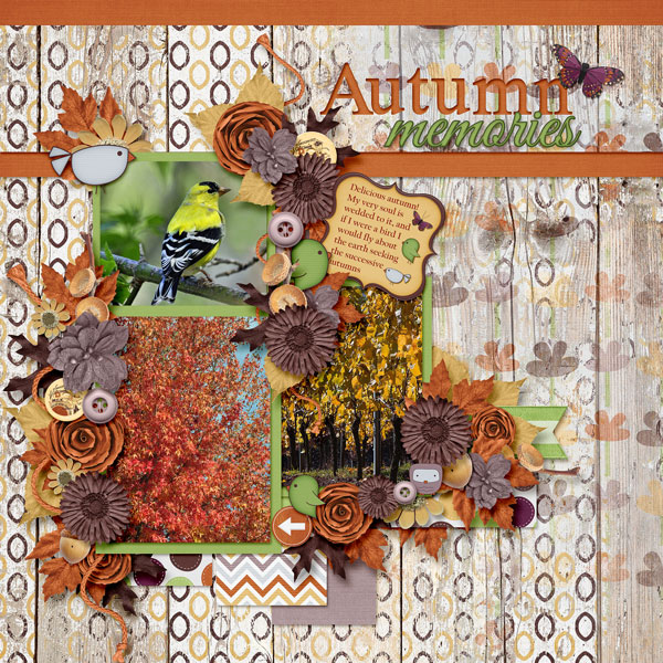 Autumn Memories