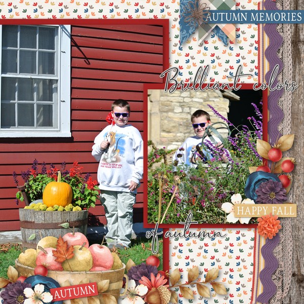 Autumn Memories