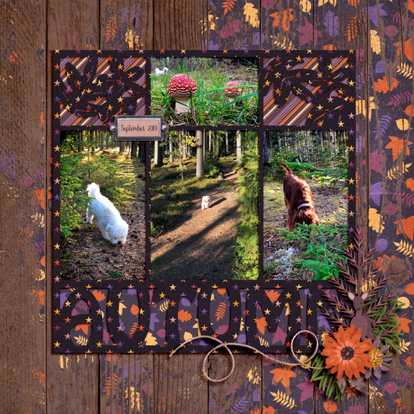 Autumn memories