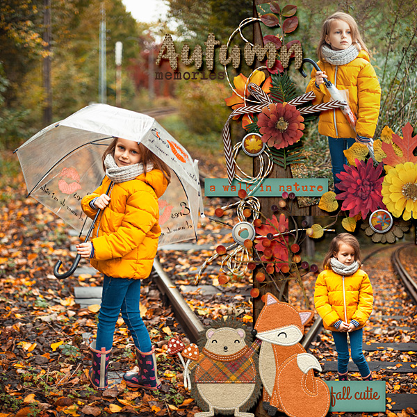 Autumn memories