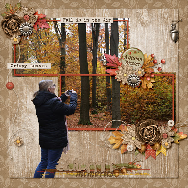 Autumn memories