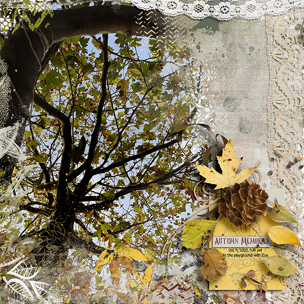 Autumn memories