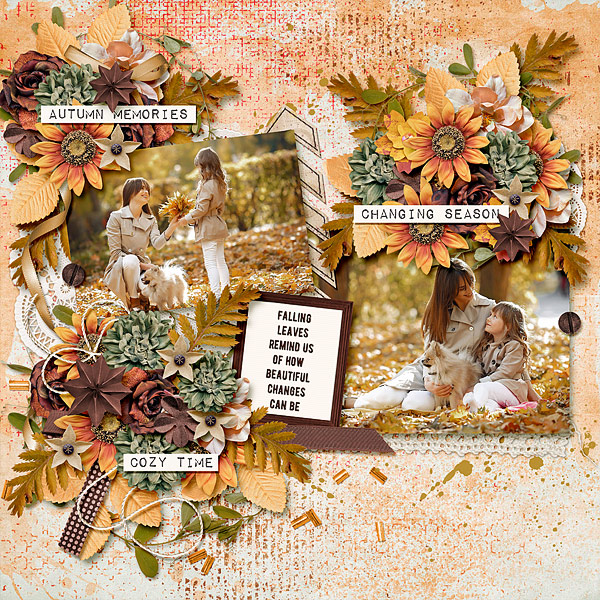 Autumn Memories