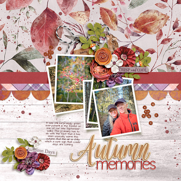 Autumn Memories