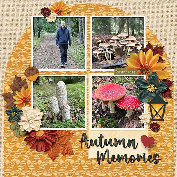 Autumn memories