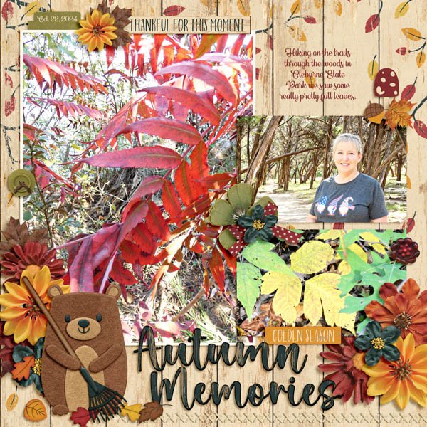 Autumn Memories