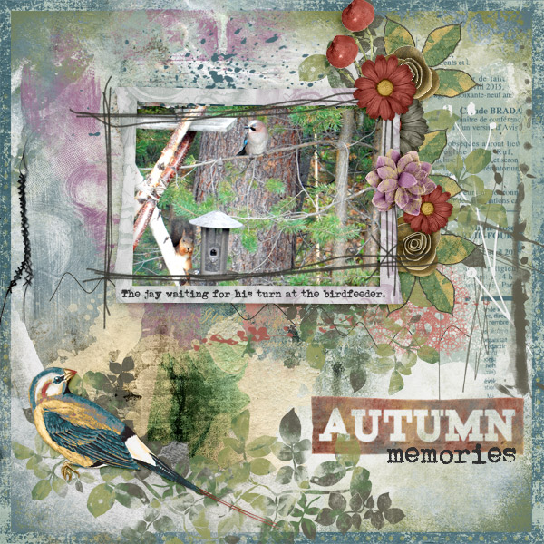 Autumn-memories7