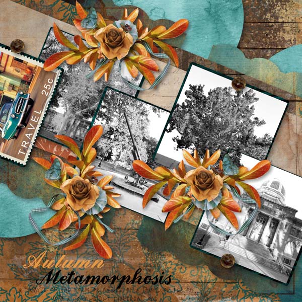 Autumn Metamorphosis