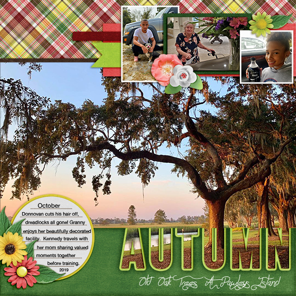 Autumn Moments