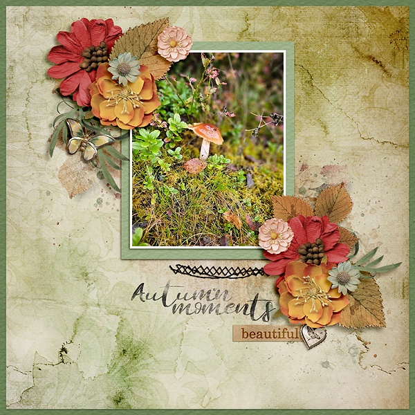Autumn Moments
