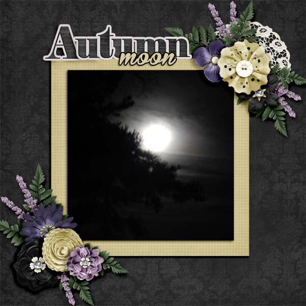 Autumn-moon