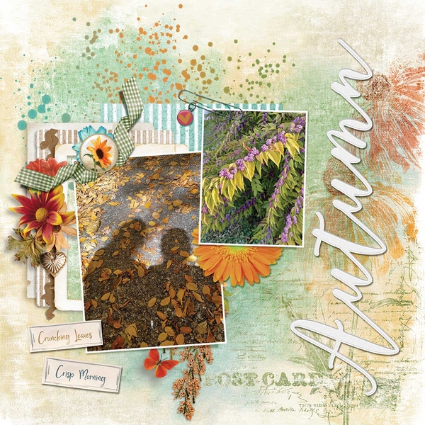 Autumn Morn