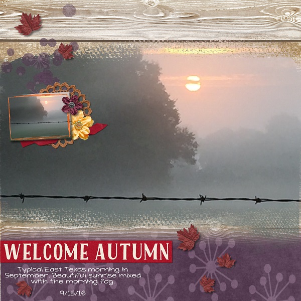 Autumn Morning